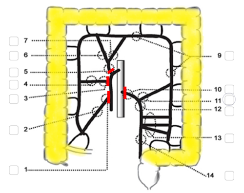 image2xlra.png