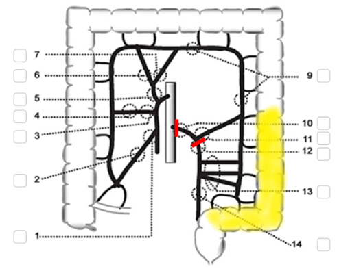 image6v8oe.png