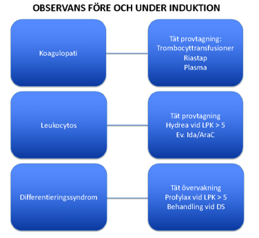 Fl&ouml;desschema f&ouml;r observans f&ouml;re och under induktion samt rekommenderad handl&auml;ggning