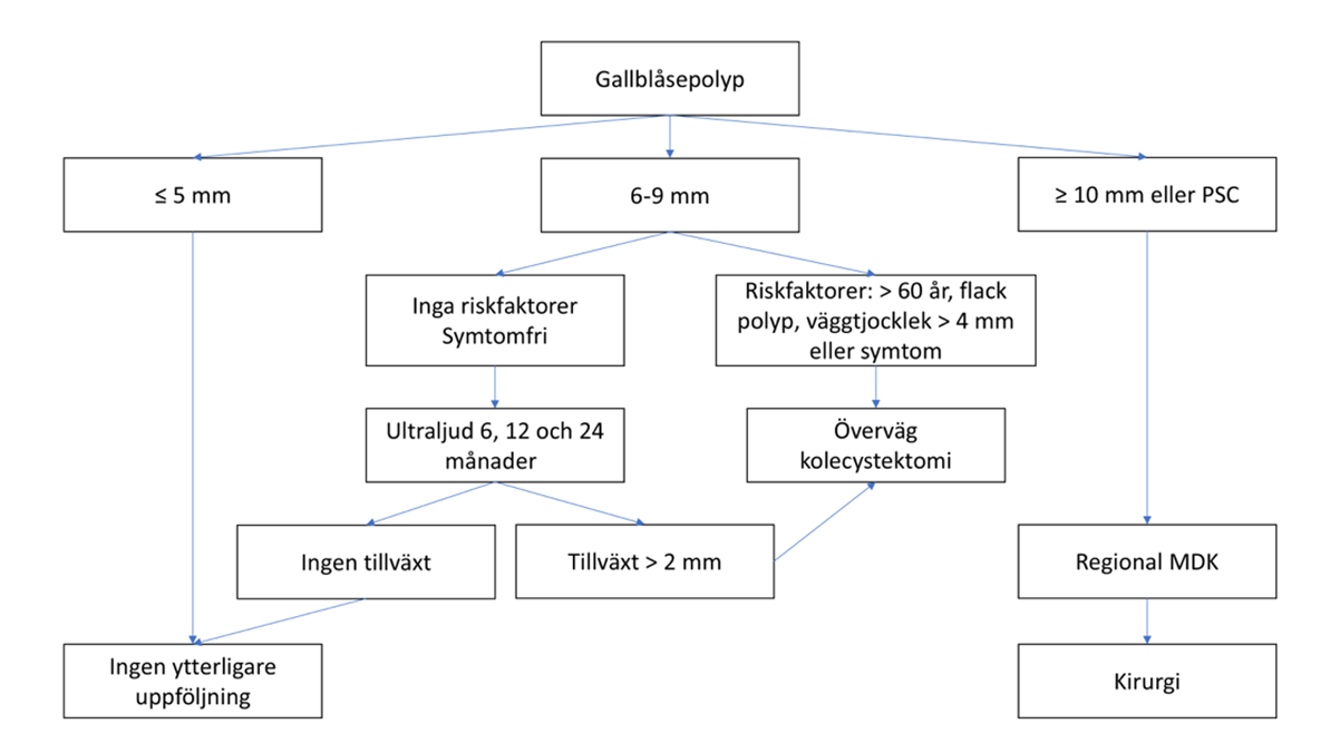 flödesschema för handläggning av polyper, uppdelat på storlek 5 millimeter eller mindre, 6-9 millimeter och 10 millimeter eller större eller PSC