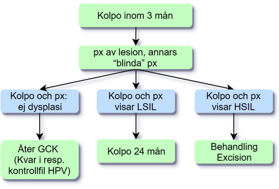 Flödesschema 5: Persisterande HPV-infektion >2,5 år.