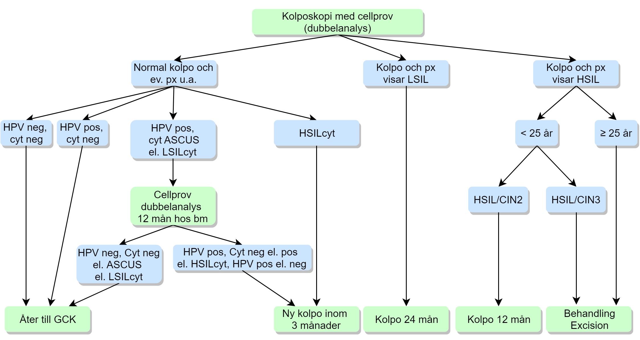 Flödesschema 4: Cytologiska analysen visar LSILcyt eller ASCUS.