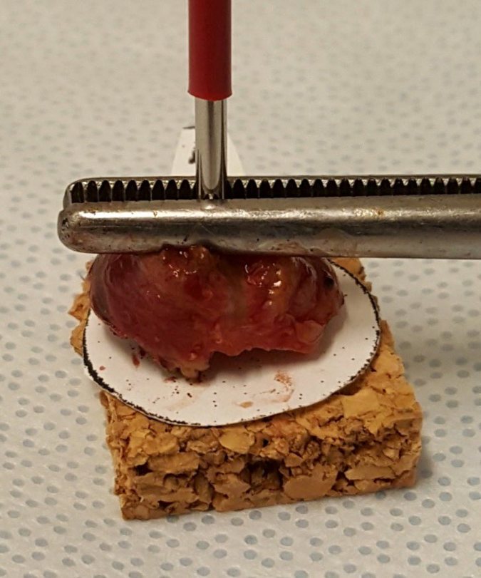 Bilaga5fig1.jpg