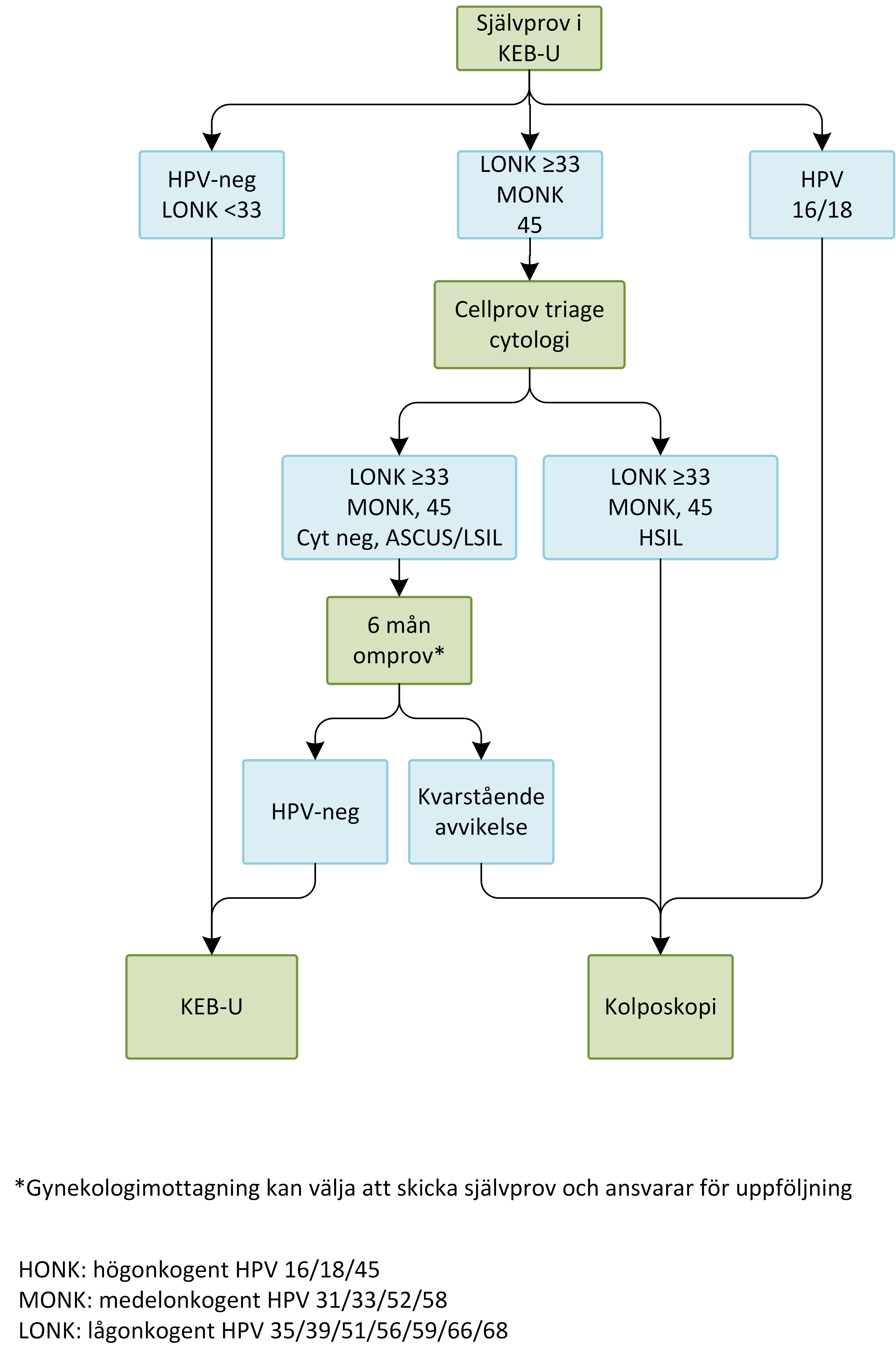 Flödesschema 6b.png
