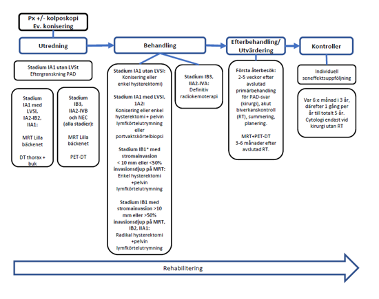 sammanfattande beskrivning av utredning, behandling, efterbehandling och utvärdering, kontroller