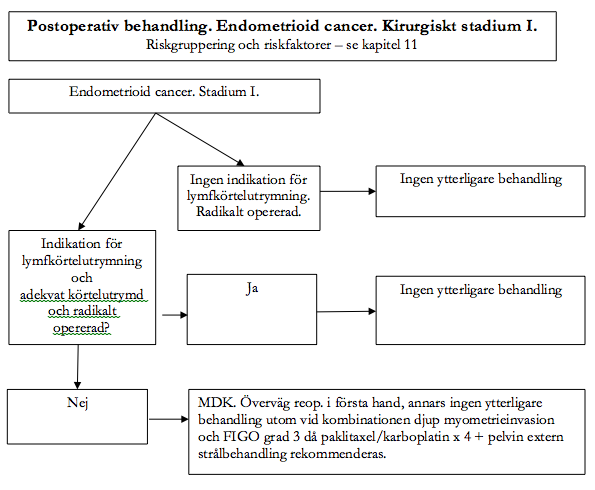 Postoperativ behandling. Endometrioid cancer. Kirurgiskt stadium I