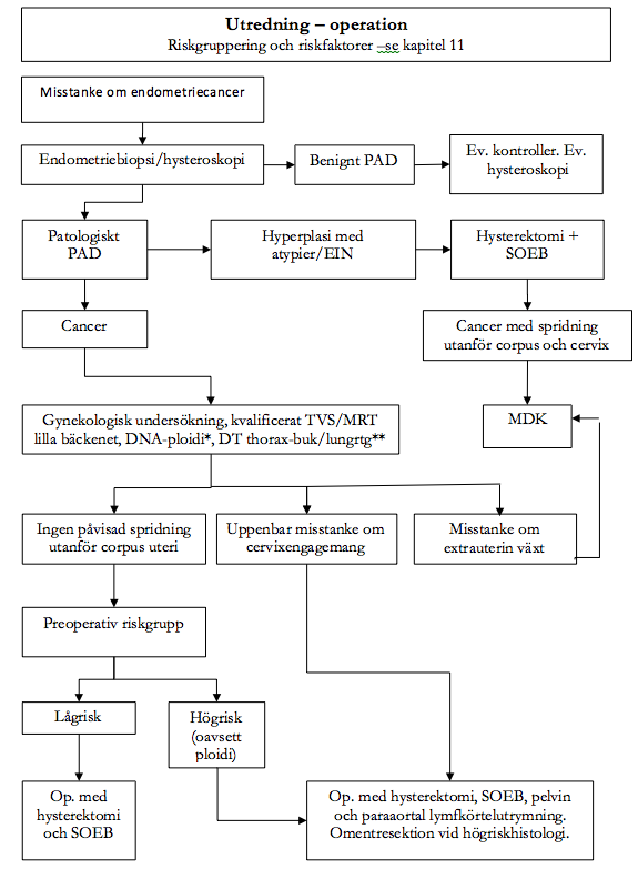 Flödesschema Utredning – operation