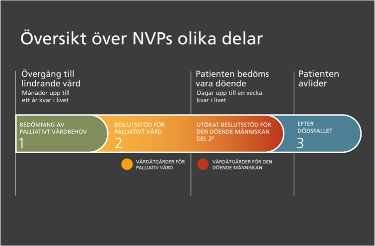 Figur 4. Översikt över NVP.