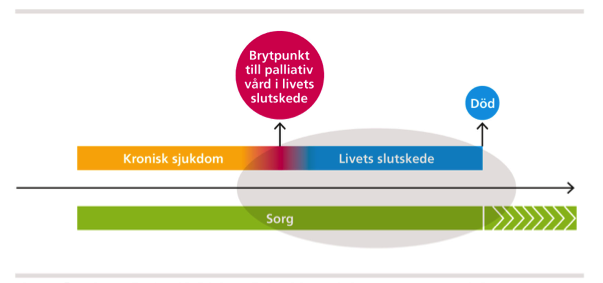 Figur 1. Övergång mellan kronisk sjukdom och den del som vårdprogrammet avser att belysa.