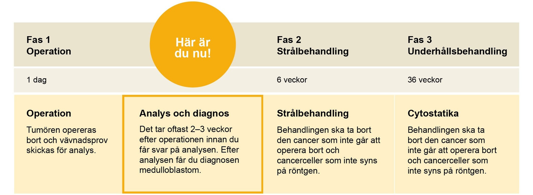 Ett diagram som visar de olika stadierna i behandlingen.