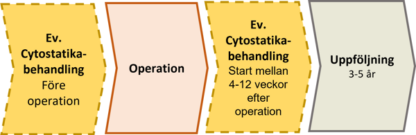 Flödesschema med behandlingsförlopp vid operation av bukspottkörtelcancer.