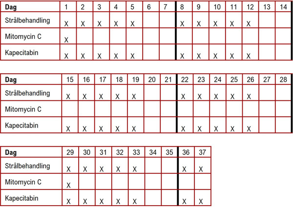 CapMi C