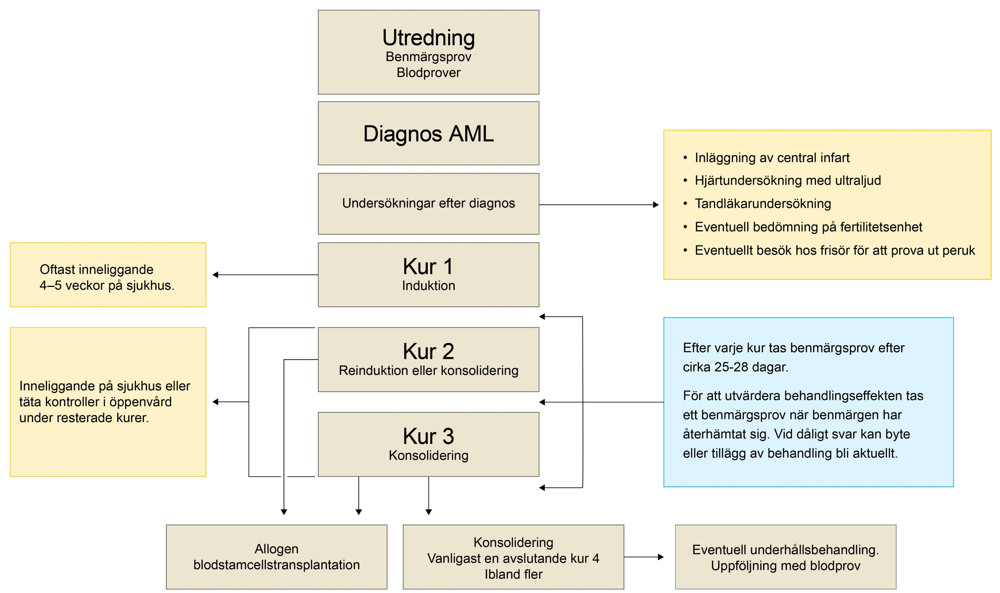 En schematisk bild av ett behandlingsförlopp.