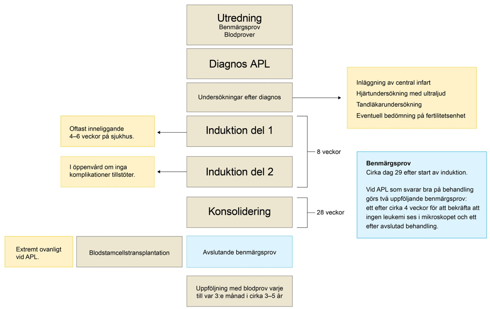 En schematisk bild av ett behandlingsförlopp.