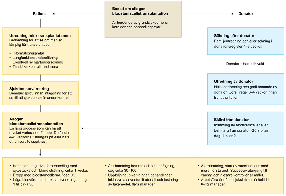 En schematisk bild av ett behandlingsförlopp.