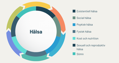 Hälsobregreppet visat i en bild