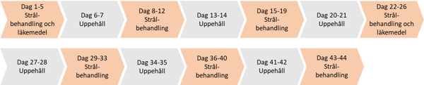 Schema för strålbehandling samt cytostatika.