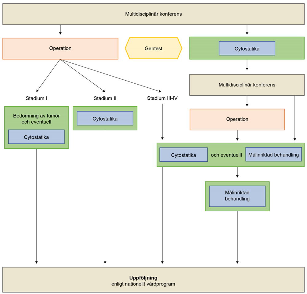 En schematisk bild av ett behandlingsförlopp.