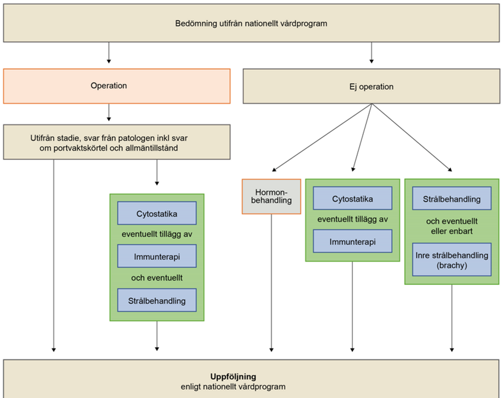 En schematisk bild av ett behandlingsförlopp.