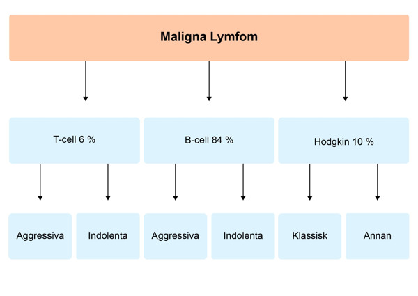 En översikt över de olika typerna av lymom.
