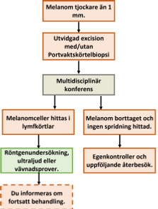 Ett flödesschema över olika typer av information.