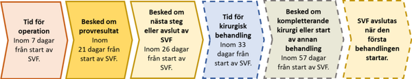 Ett flödesschema som illustrerar vårdförloppet.