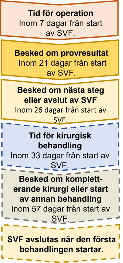 Ett flödesschema av vårdförloppet för melanom.